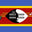 Eswatini Megamart logo